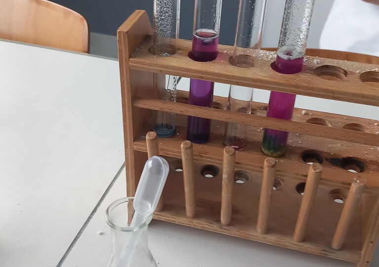 Vier Reagenzgläser in einem Halter, in Zweien befindet sich eine pinkfarbene Flüssigkeit