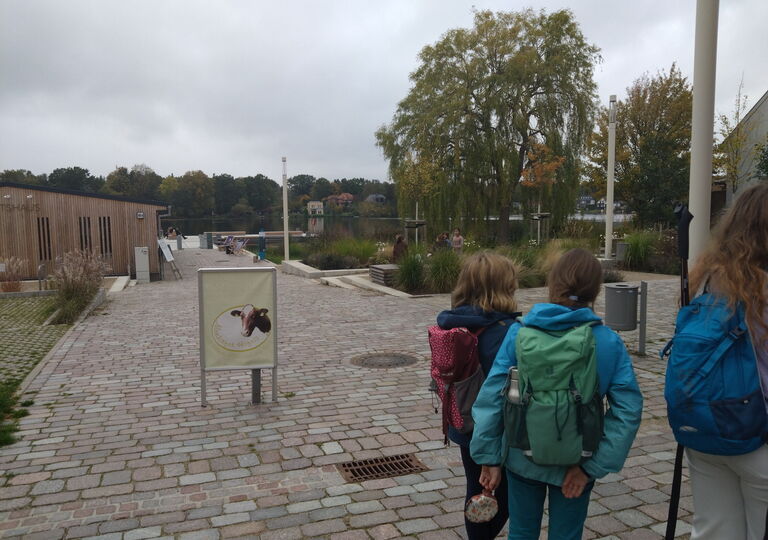 Bild vom alten Hafen