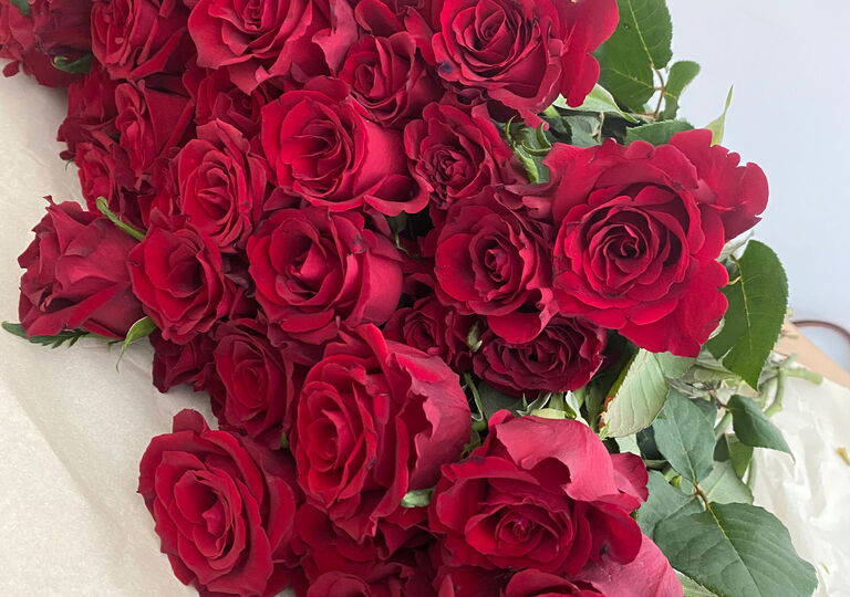 Bild von einem Strauß roter Rosen