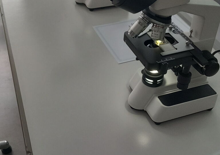 Bild eines Mikroskops