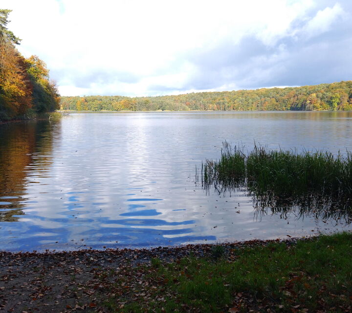 Blick vom Ufer des Lüttauer Sees in Mölln