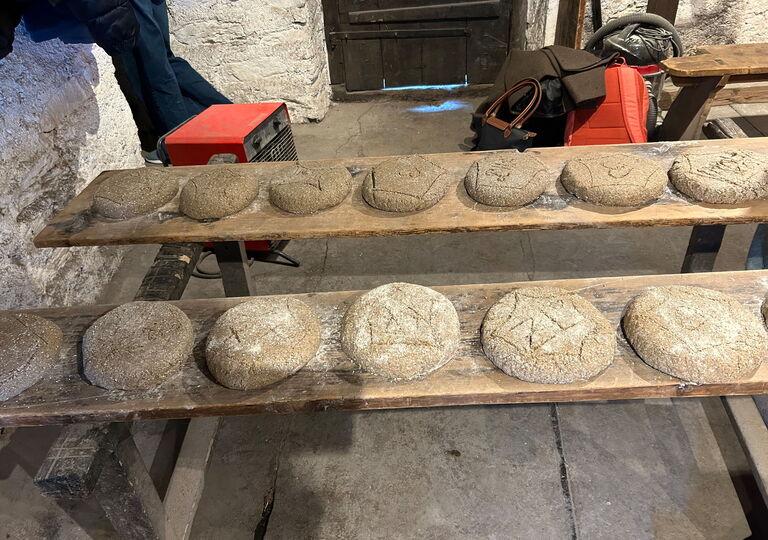 Bild von 13 frisch gebackenen Broten auf zwei Holzbänken