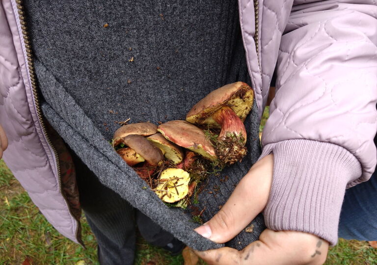 Eine Schülerin hält Pilze