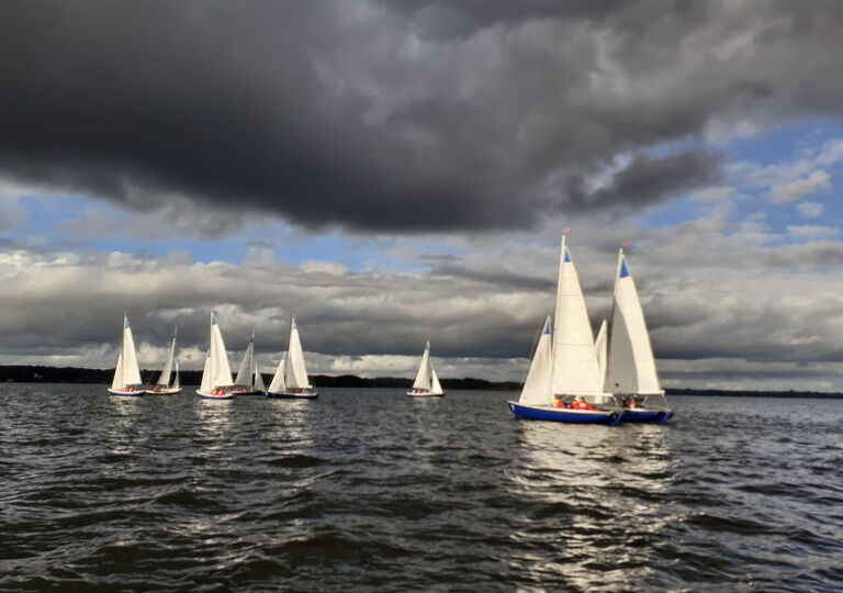 Acht Segelboote auf dem Meer