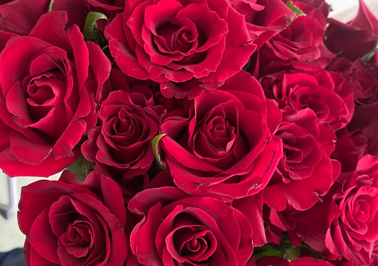 Bild von einem Strauß roter Rosen