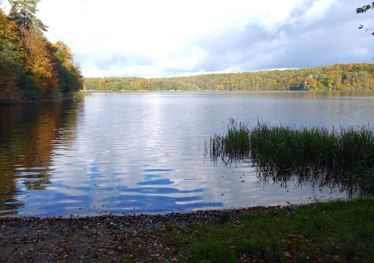 Blick vom Ufer des Lüttauer Sees in Mölln