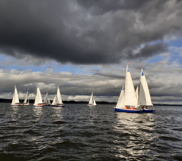 Acht Segelboote auf dem Meer