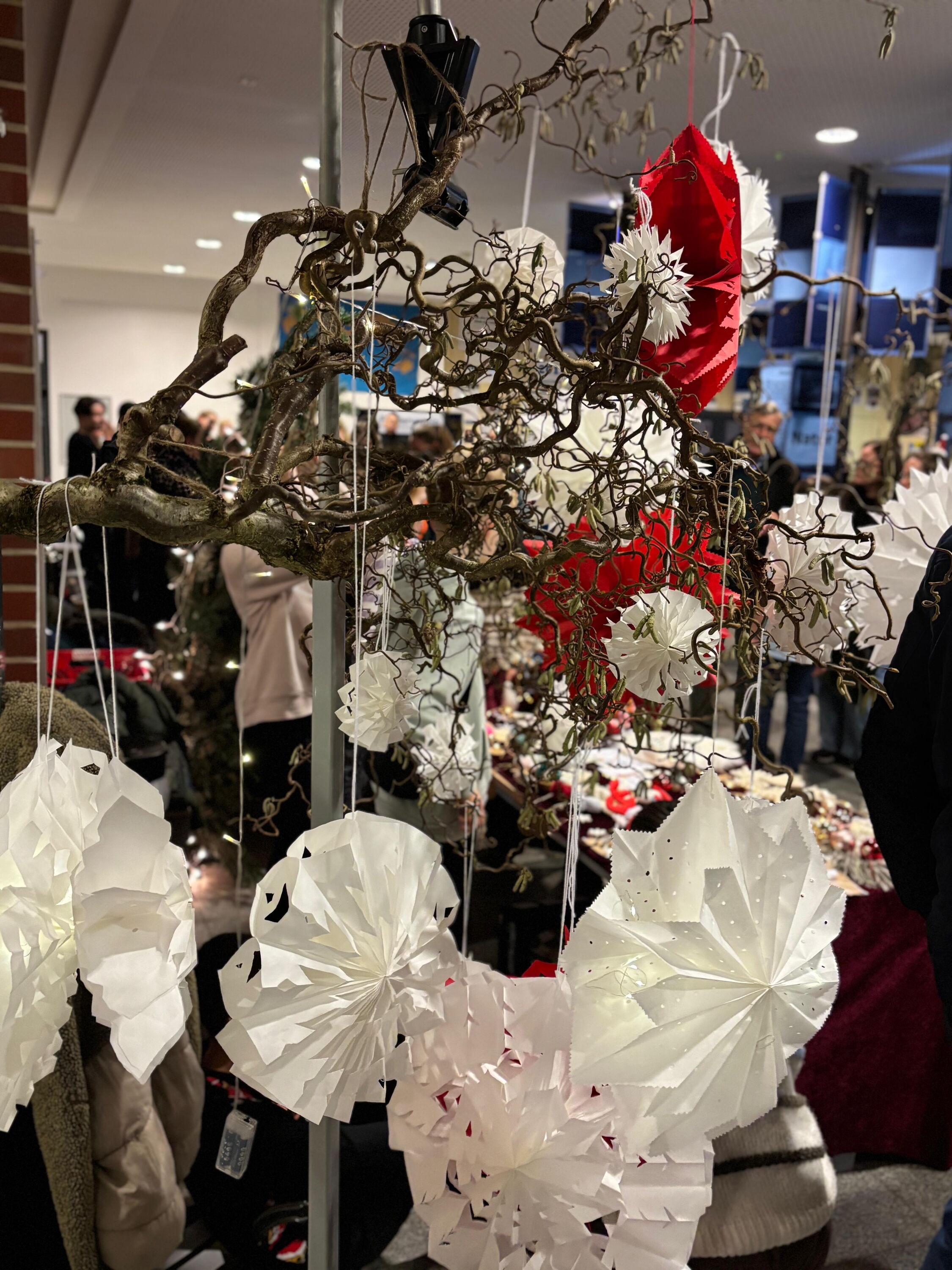 weiße und rote Papieranhänger an einem Haselnussbaum